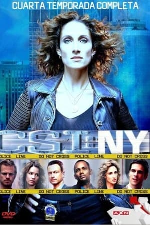 CSI: Nueva York Temporada 4 online en castellano y latino - verhdserie